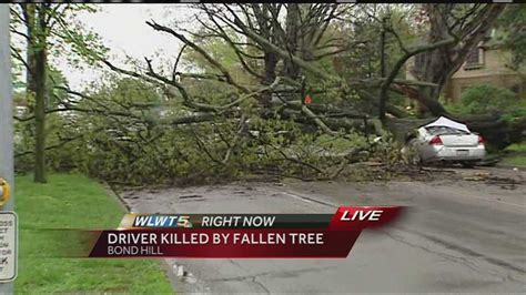 Woman inside car killed in St. Louis after tree falls during storms